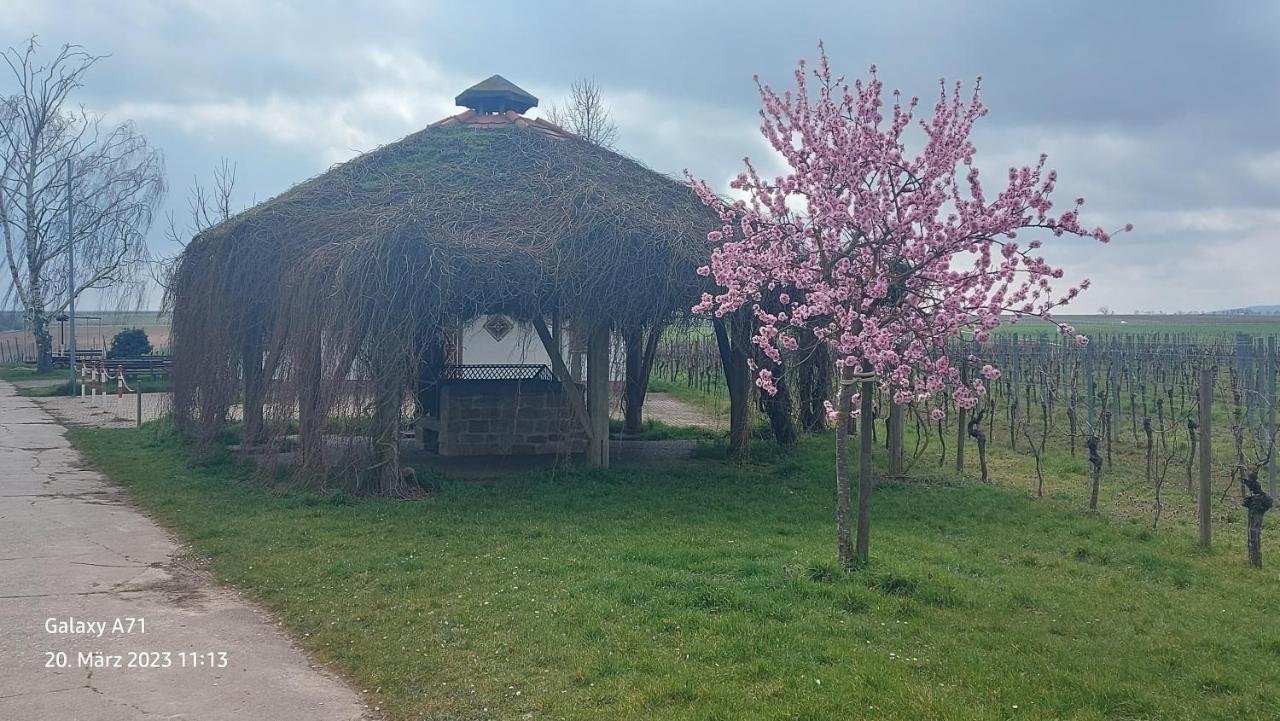 Ferienwohnung Zum Weinberg Grosskarlbach Exteriör bild