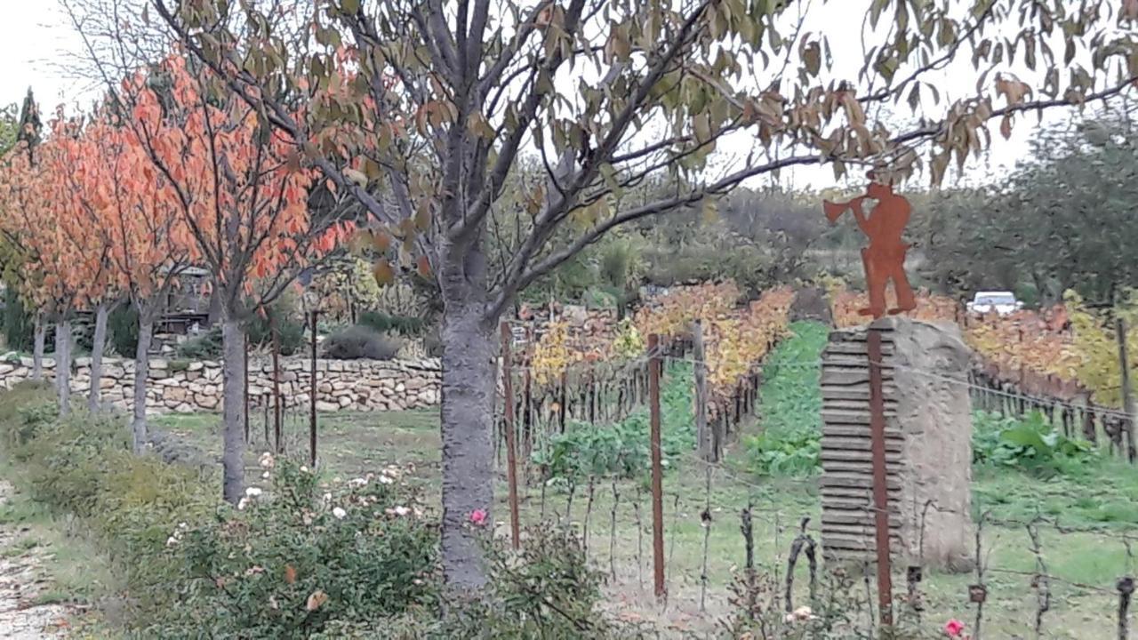 Ferienwohnung Zum Weinberg Grosskarlbach Exteriör bild