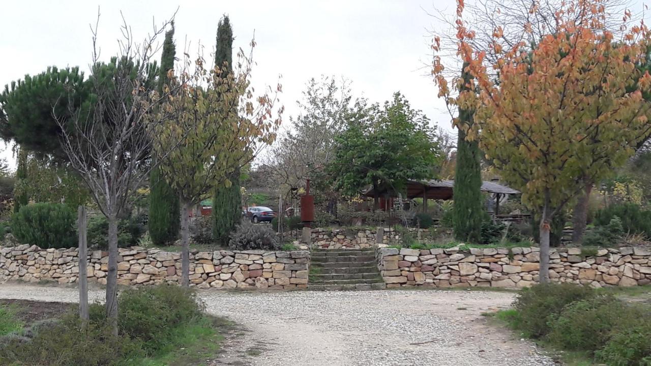 Ferienwohnung Zum Weinberg Grosskarlbach Exteriör bild