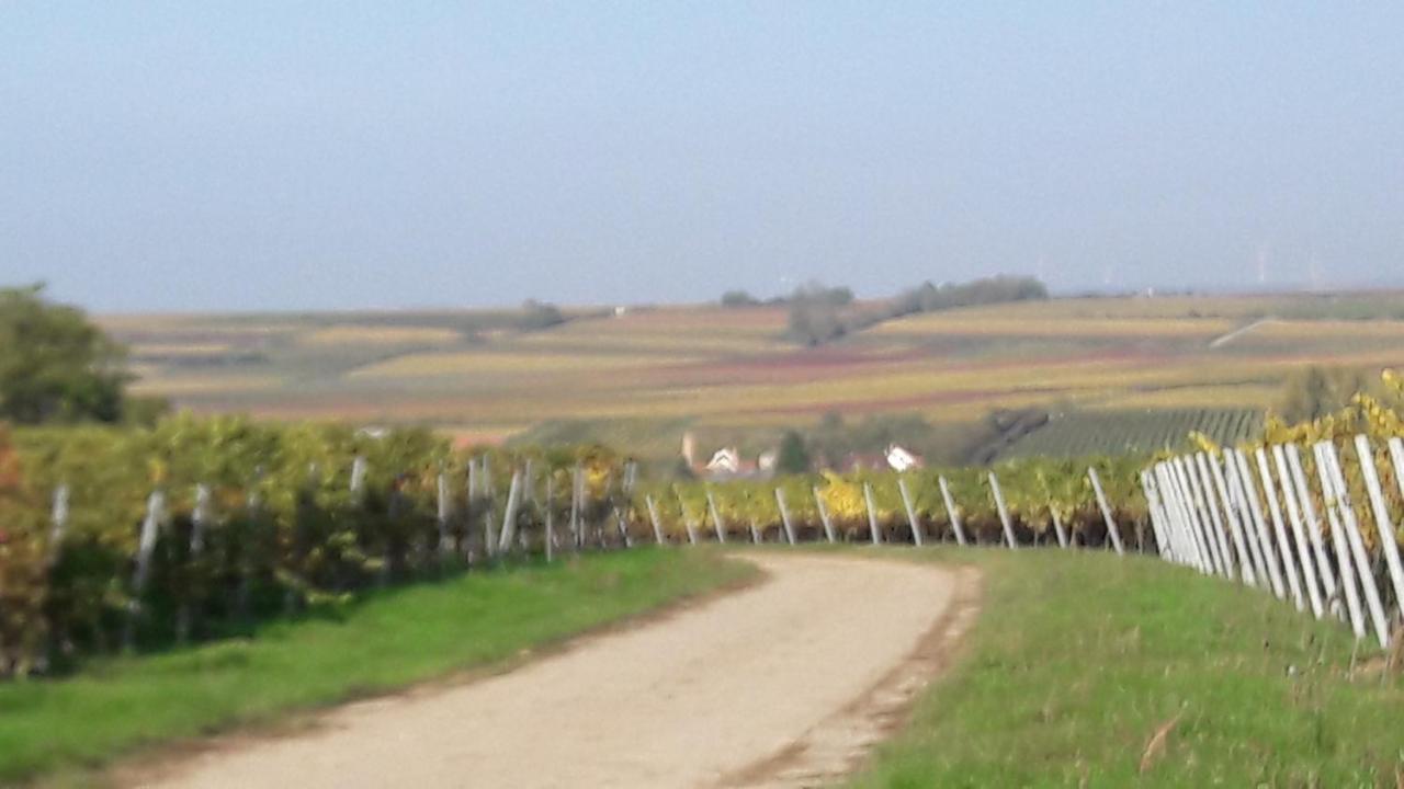 Ferienwohnung Zum Weinberg Grosskarlbach Exteriör bild